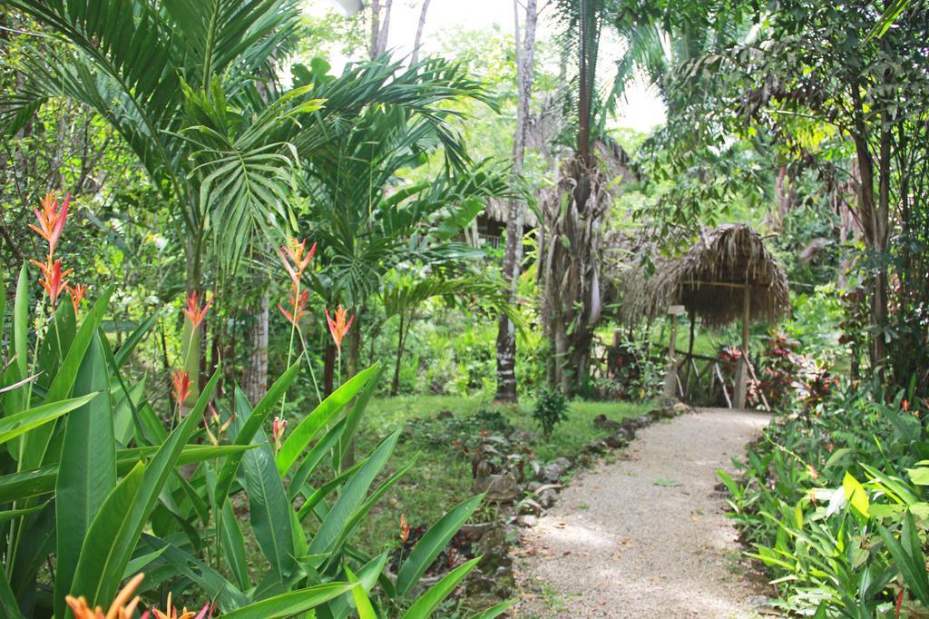 Sun Creek Lodge Punta Gorda Eksteriør bilde