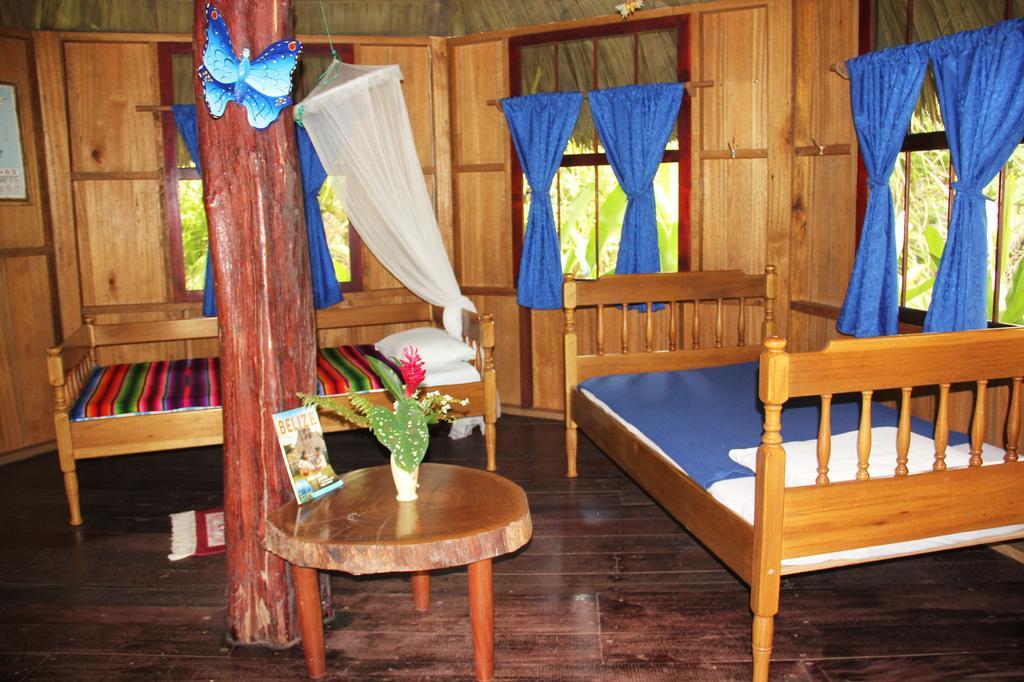 Sun Creek Lodge Punta Gorda Rom bilde
