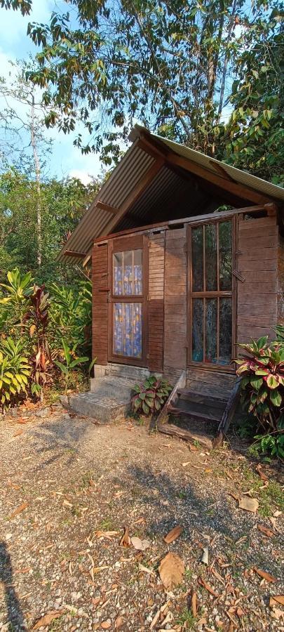 Sun Creek Lodge Punta Gorda Eksteriør bilde