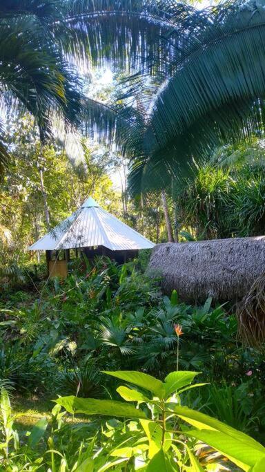 Sun Creek Lodge Punta Gorda Eksteriør bilde