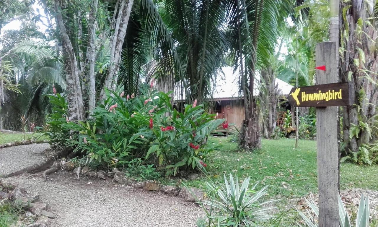 Sun Creek Lodge Punta Gorda Eksteriør bilde
