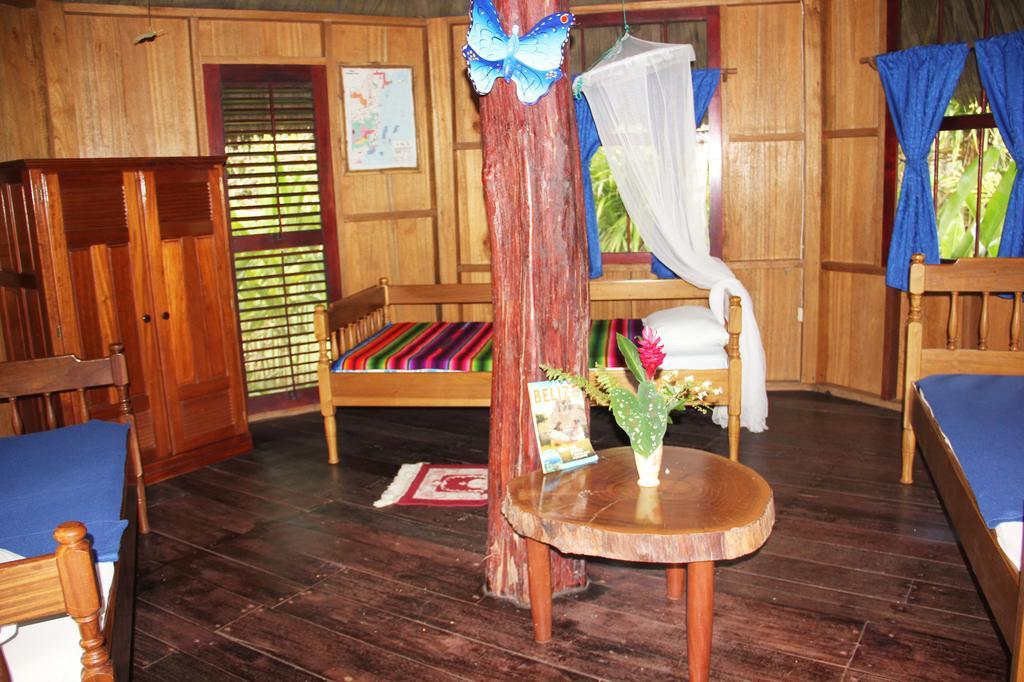 Sun Creek Lodge Punta Gorda Rom bilde