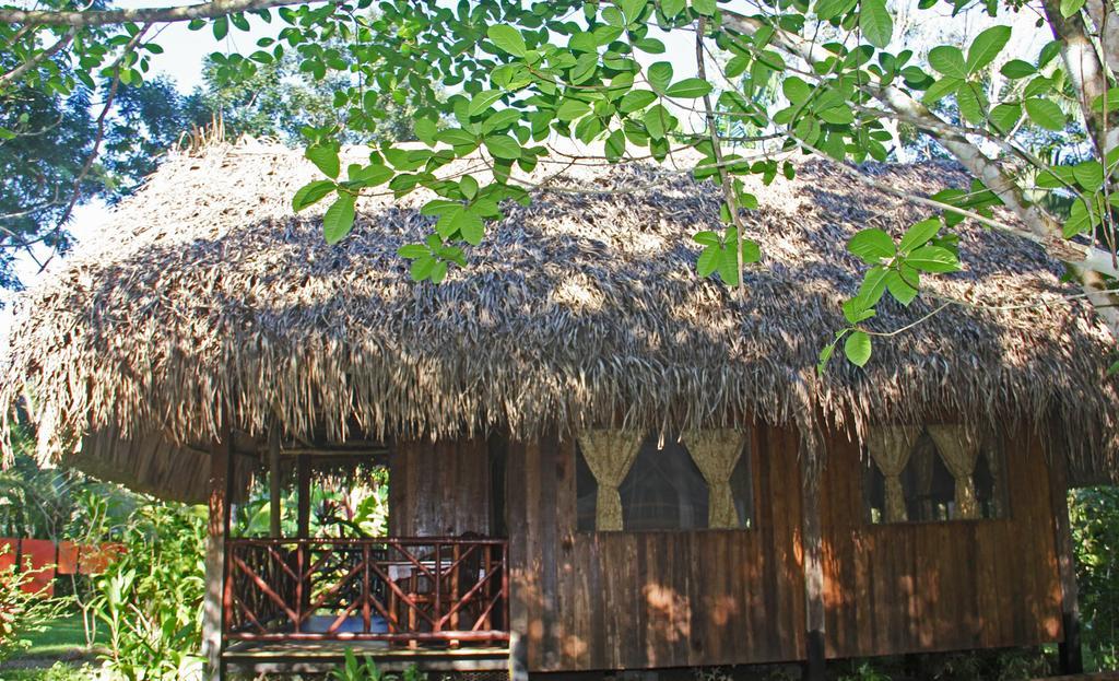 Sun Creek Lodge Punta Gorda Rom bilde