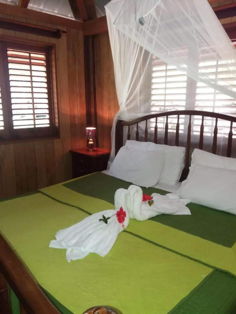 Sun Creek Lodge Punta Gorda Eksteriør bilde